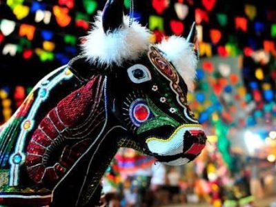 WhatsApp Image 2026-02-23 at 11.53.24